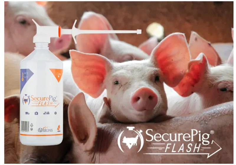 SecurePig Flash 1000ml pour-on