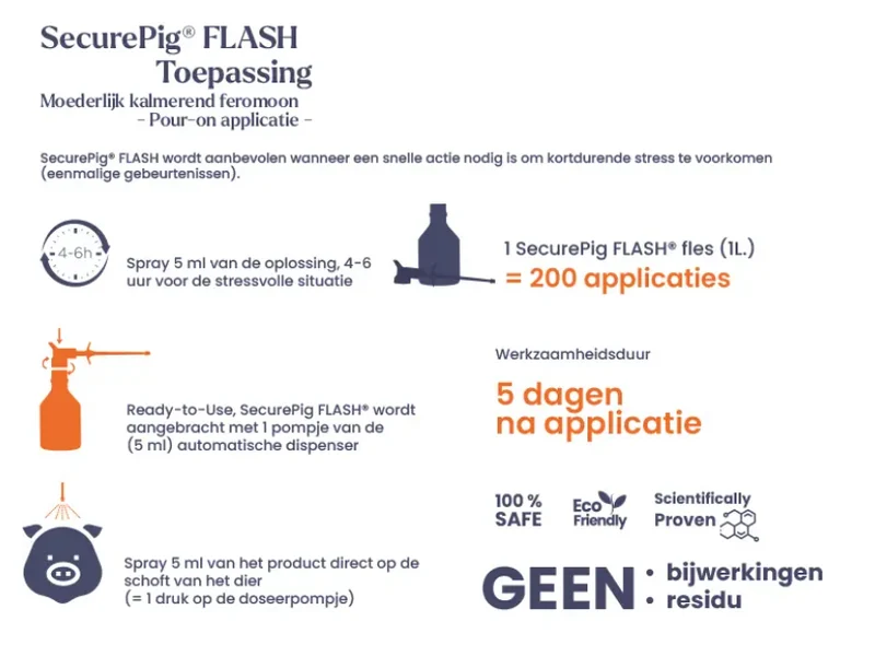 SecurePig Flash 1000ml pour-on
