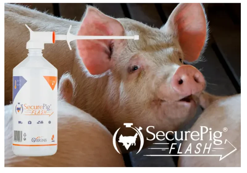 SecurePig Flash 1000ml pour-on