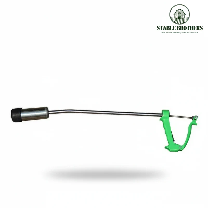 Bolus Ingever Rundvee Large – Geschikt voor Alle AHS & NCC Bolussen | Stable Brothers