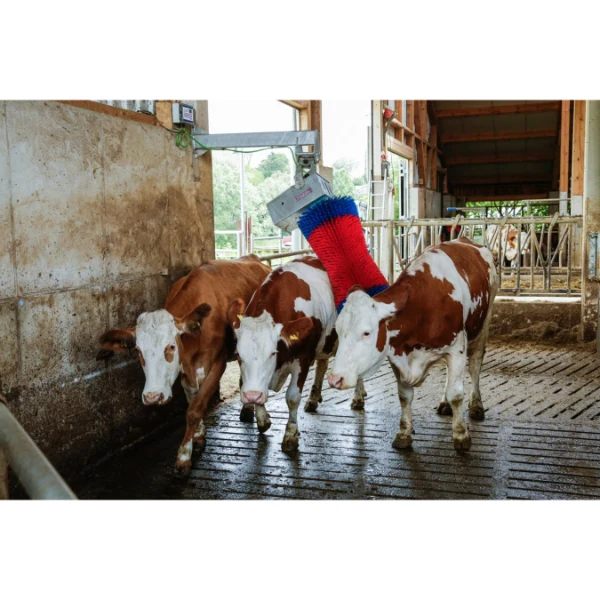 Happycow MaxiSwing - veeborstel