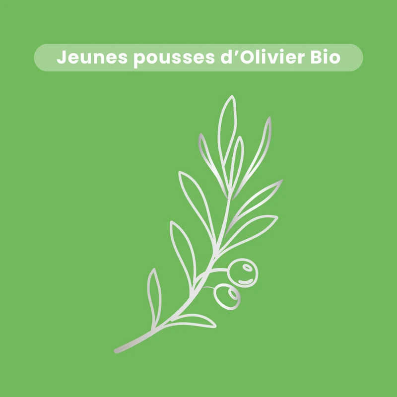 Macérat de Bourgeons - Olivier Bio