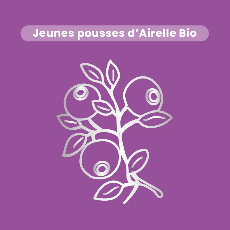 Macérat de Bourgeons - Airelle Bio