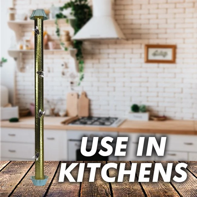 Catchmaster Glue Sticks