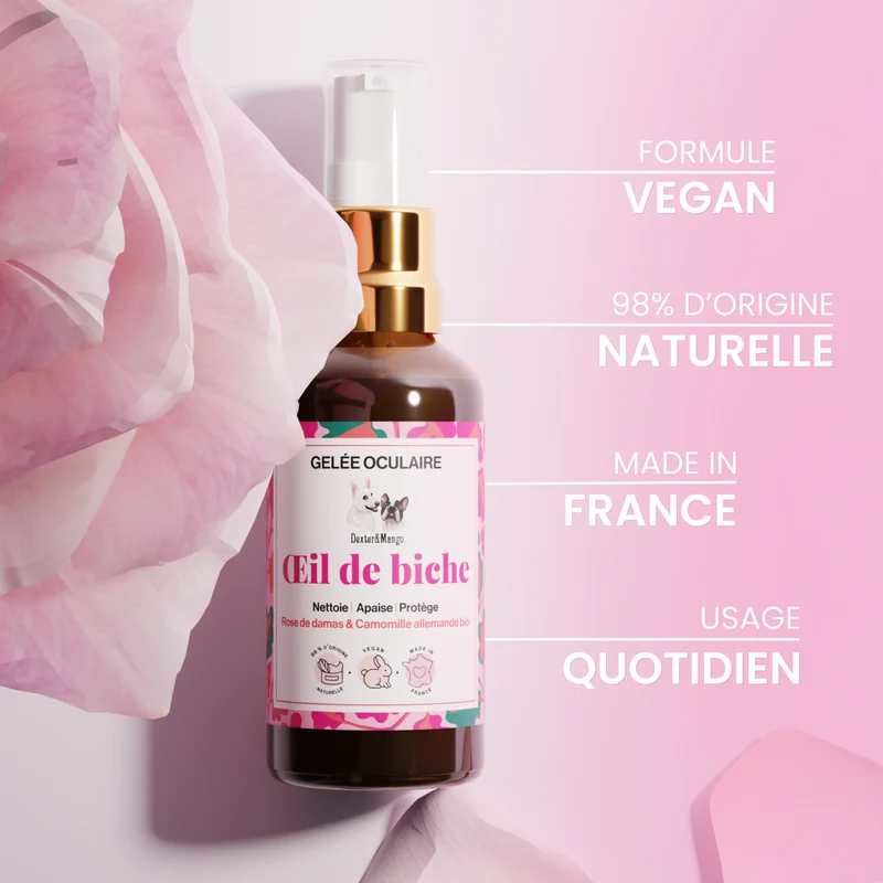Œil de biche : Gelée oculaire pour chien