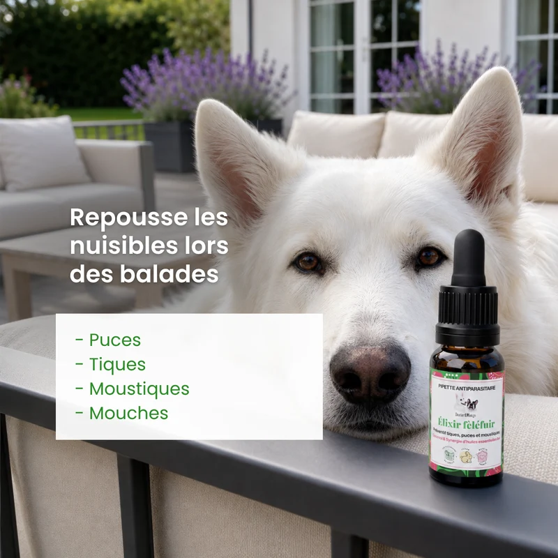 Élixir Fèléfuir : Pipette antiparasitaire