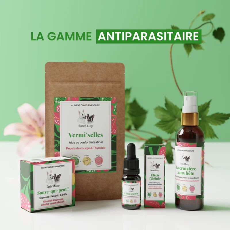 Élixir Fèléfuir : Pipette antiparasitaire
