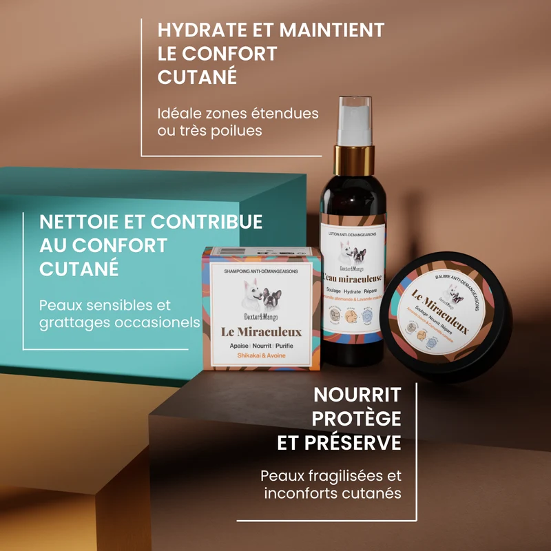 Routine confort cutané - Version shampoing solide