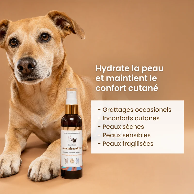 L’Eau miraculeuse : Lotion confort cutané