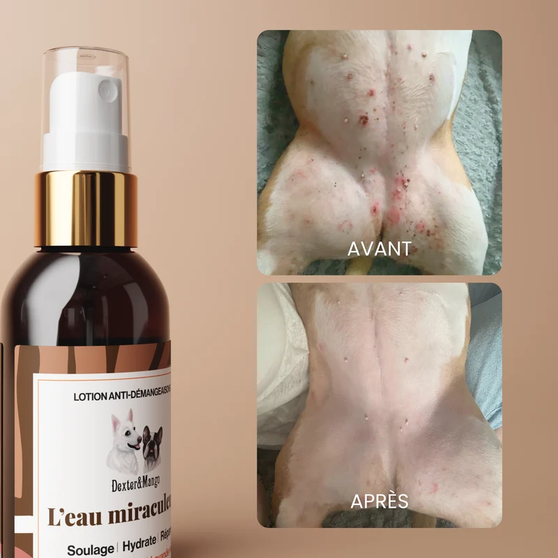 L’Eau miraculeuse : Lotion confort cutané