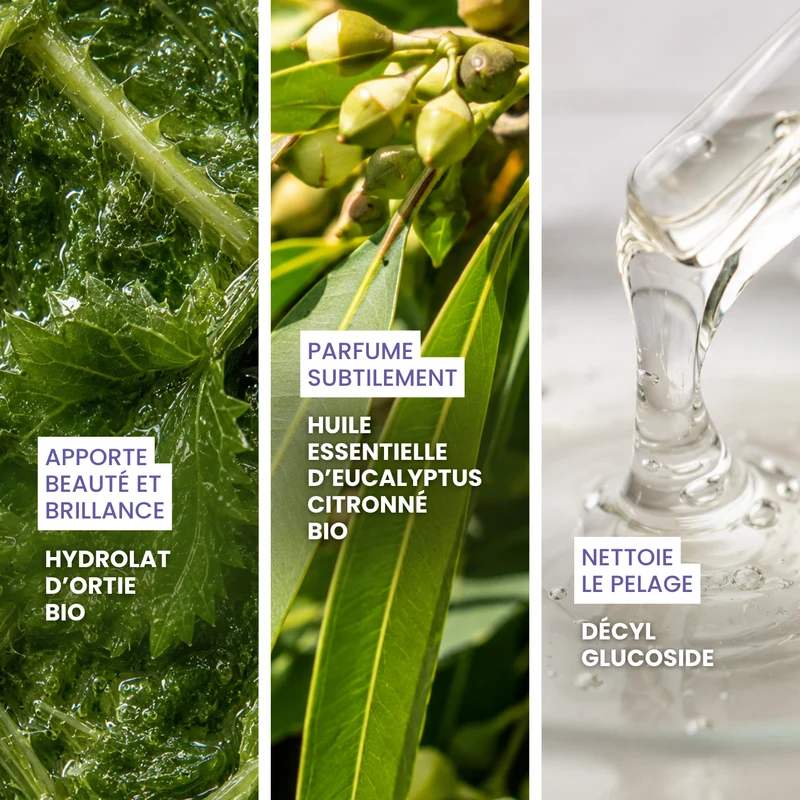 Ô Pimpante ! : Eau micellaire nettoyante