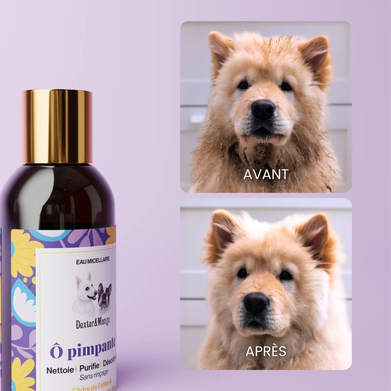 Ô Pimpante ! : Eau micellaire nettoyante