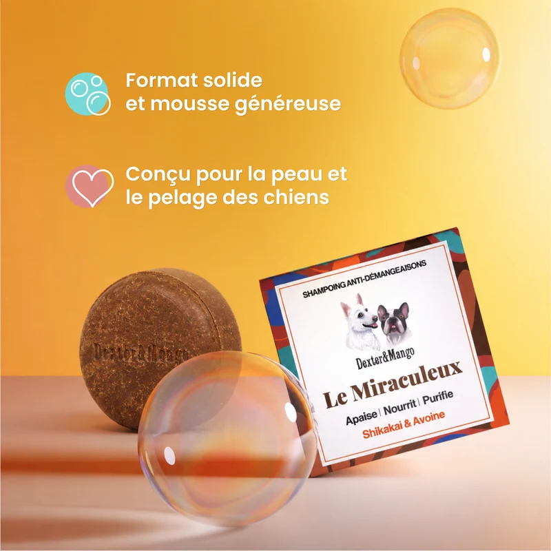 Shampoing Le Miraculeux solide : Confort cutané