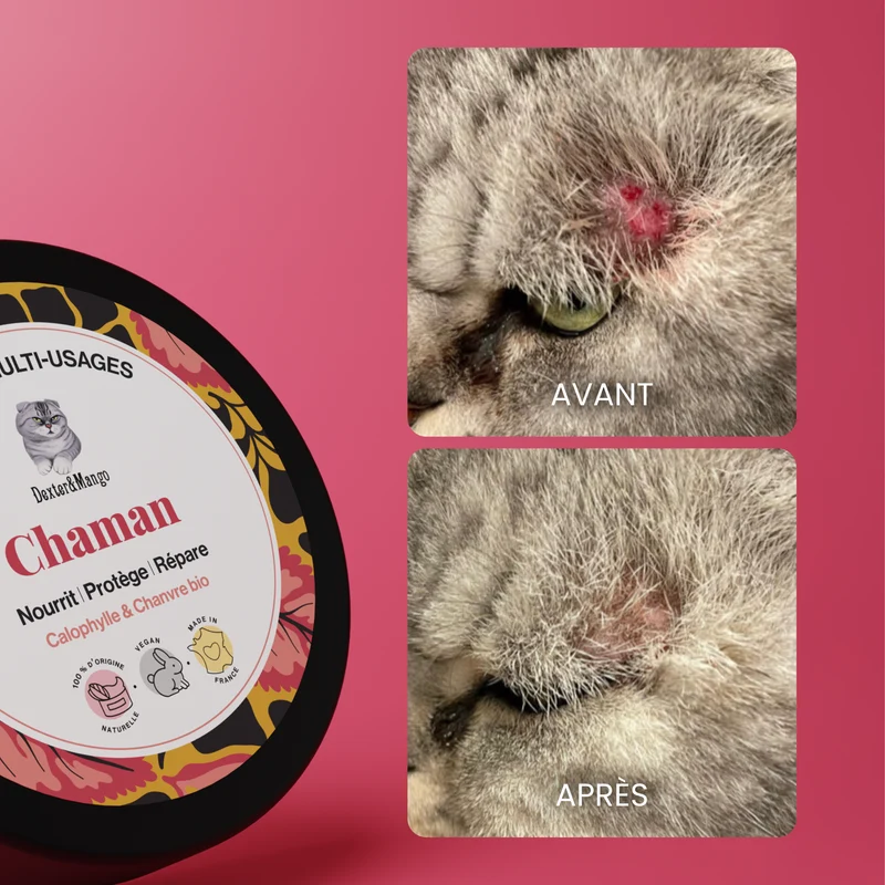 Chaman : Baume nourrissant pour chat