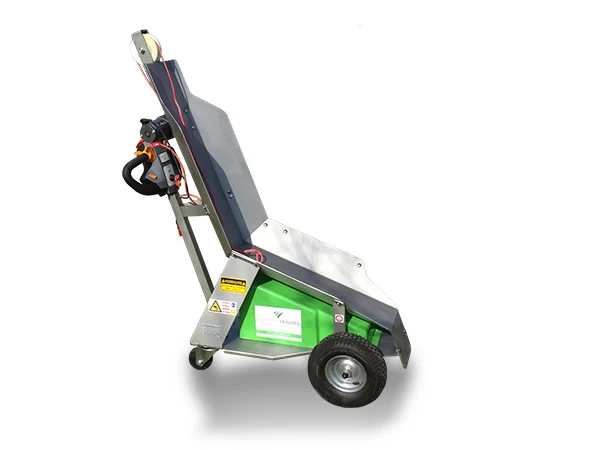 Handy Caeser V
