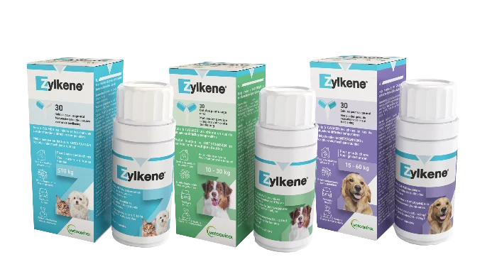 Zylkene dog/cat anti stress
