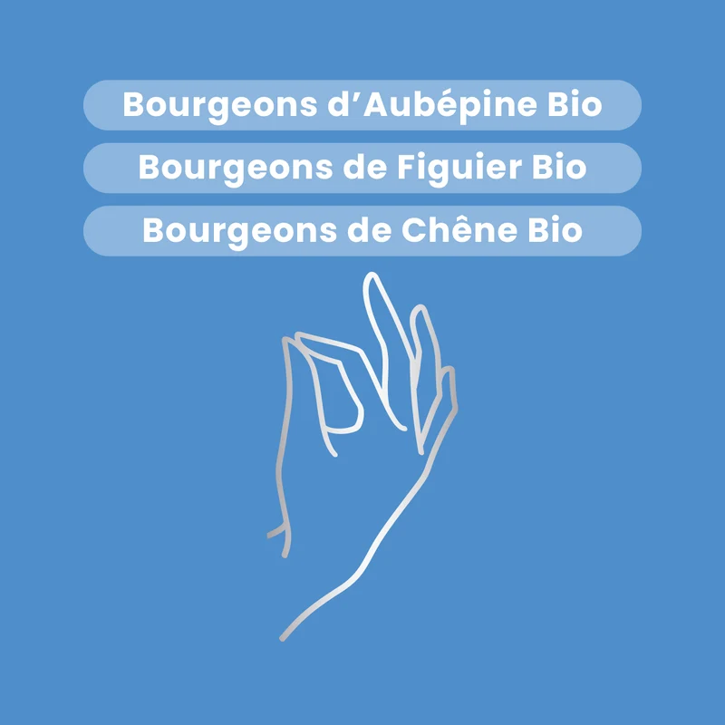 Macérat de Bourgeons - Stress Bio