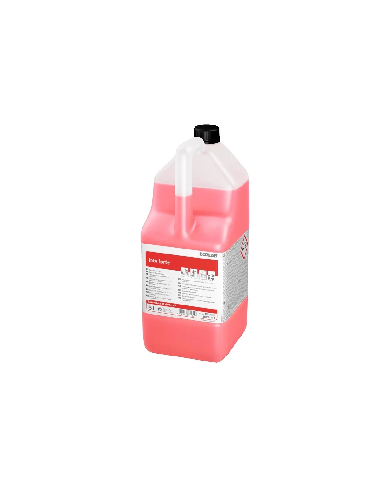 Disincrostante forte per superfici resistenti agli acidi Ecolab Into Forte 2x5 litri DISPONIBILE IN 7 GIORNI LAVORATIVI