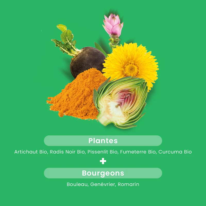 Bien-Être du Foie Bio - Hépatonic - 30 ampoules