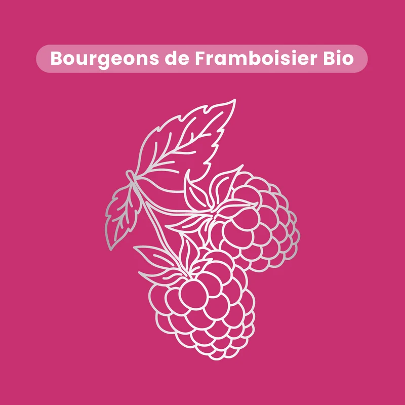 Macérat de Bourgeons - Framboisier Bio