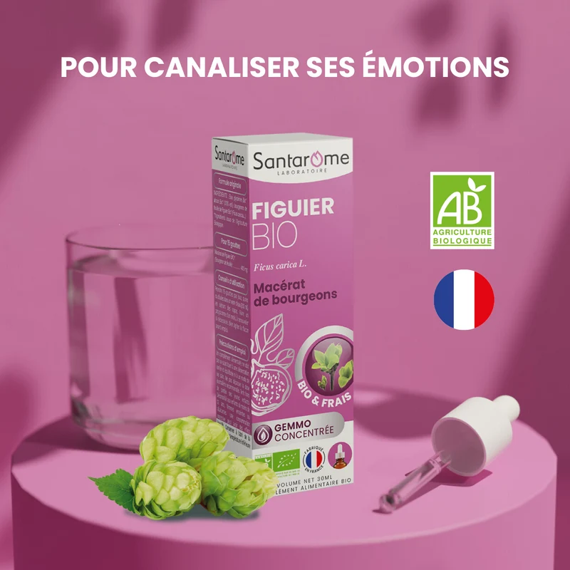 Macérat de Bourgeons - Figuier Bio