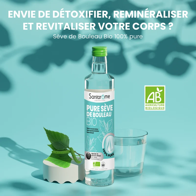 Pure Sève de Bouleau Bio