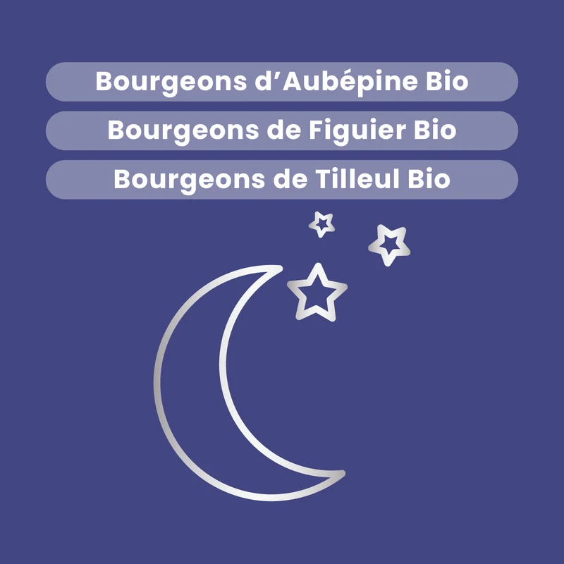 Macérat de Bourgeons - Sommeil Bio