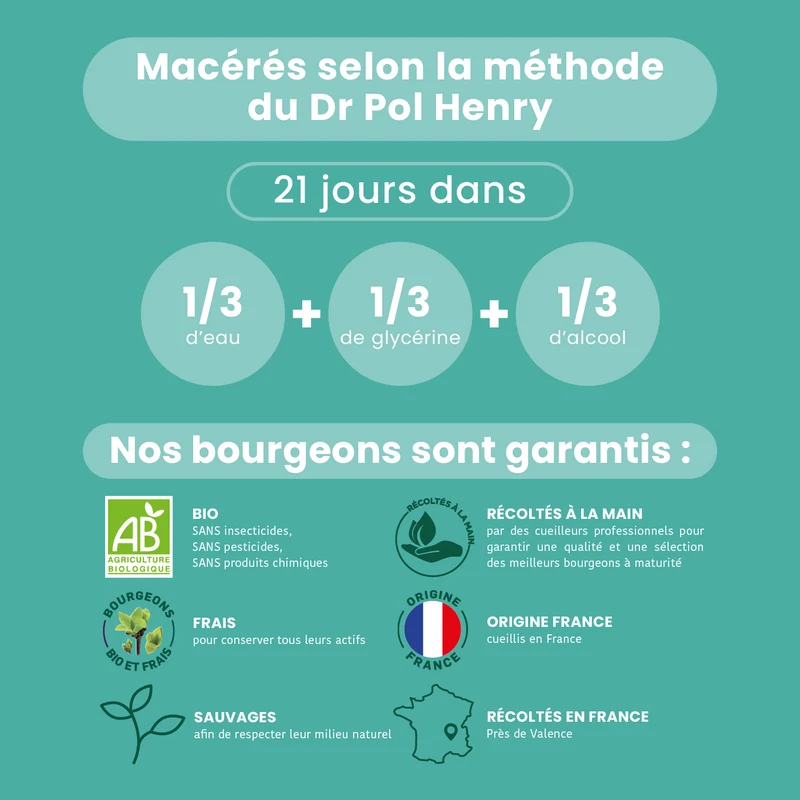 Macérat de Bourgeons - Ménopause Bio