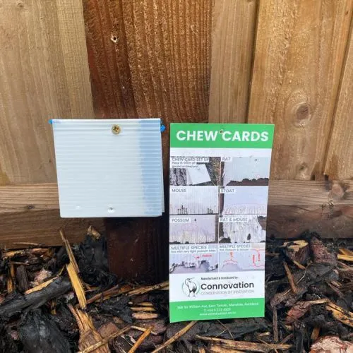 DOC Trap Chew Cards -Pack 20