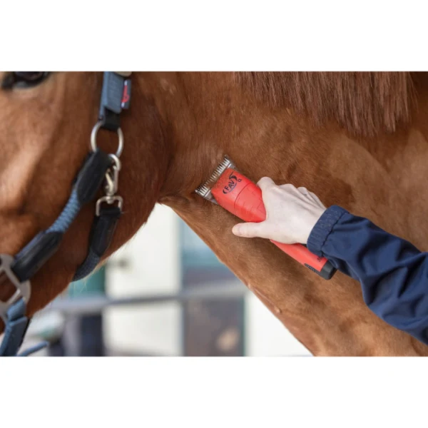Aesculap GT334-PR FAV5 CL Horse - tondeuse met 1 accu