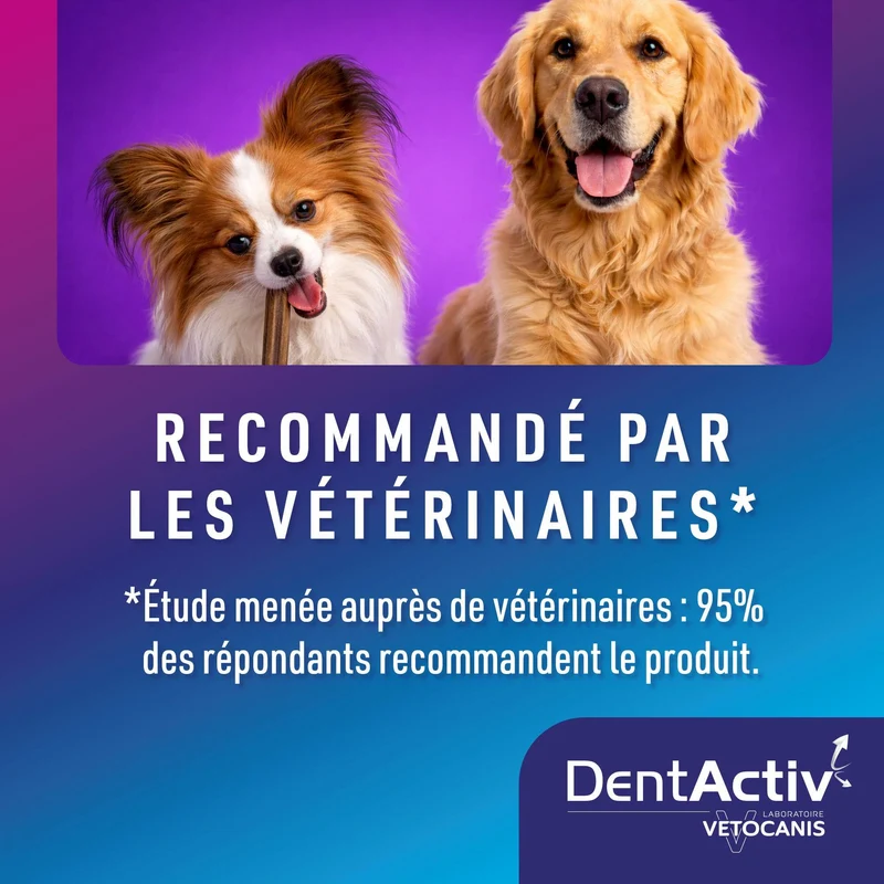 DentActiv Action 7 Sticks Dentaire Grand Chien +25kg