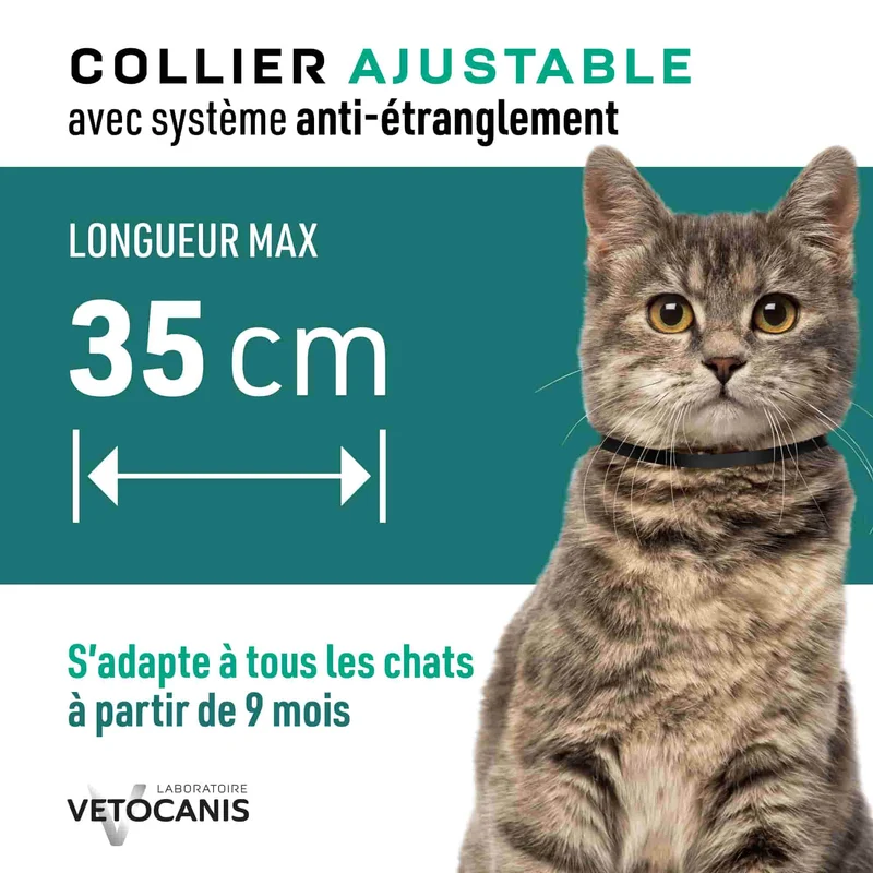 Collier Anti-puces Tiques et Moustiques Réfléchissant Répulsif Chat