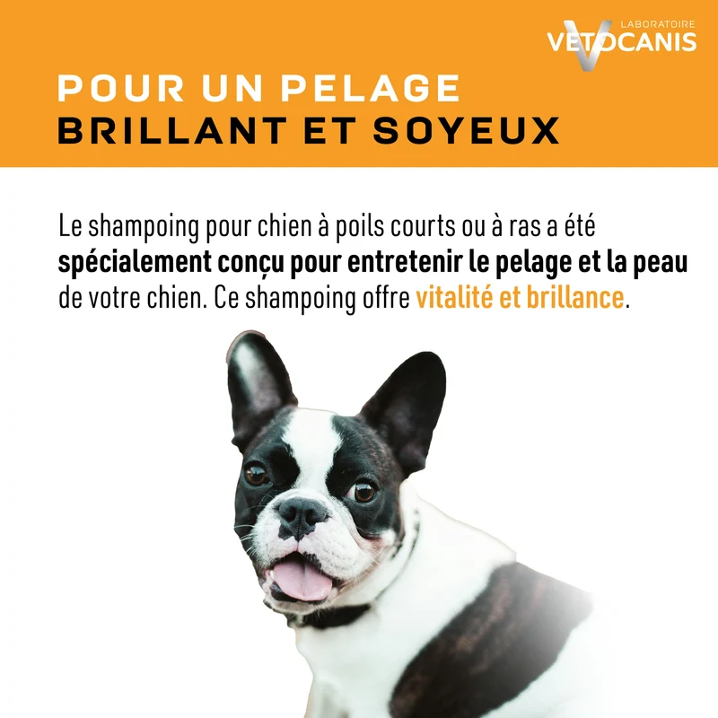 Shampoing Poils Courts pour Chien, Pamplemousse. 300ml