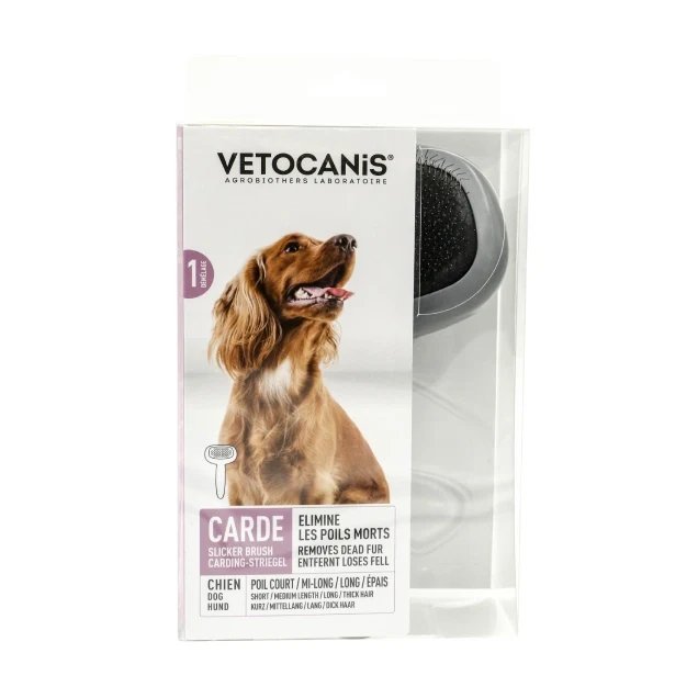 Brosse Carde Taille L pour Grand Chien