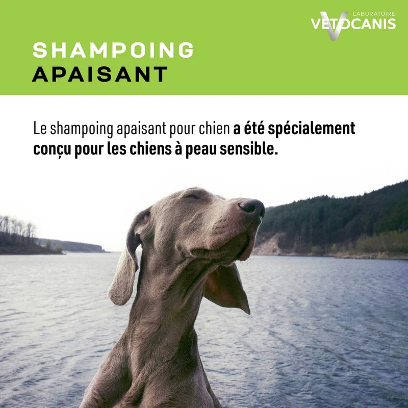 Shampoing Professionnel Hypo-Allergénique pour Chien. 300ml