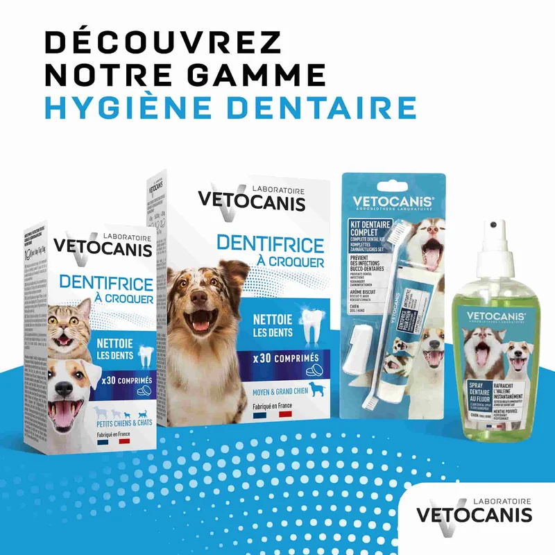 Dentifrice Anti-Tartre à croquer pour Chien - 30 Comprimés