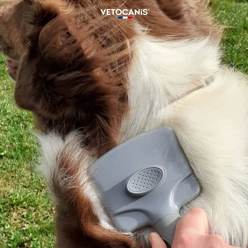 Brosse Carde Rétractable Autonettoyante pour Chien