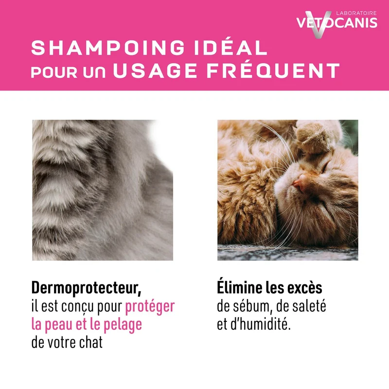 Shampoing Usage Fréquent pour Chat, à la Fleur de Lotus