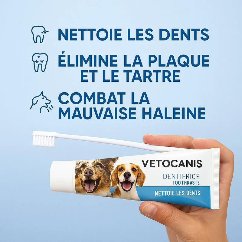 Brosse à dent pour chien