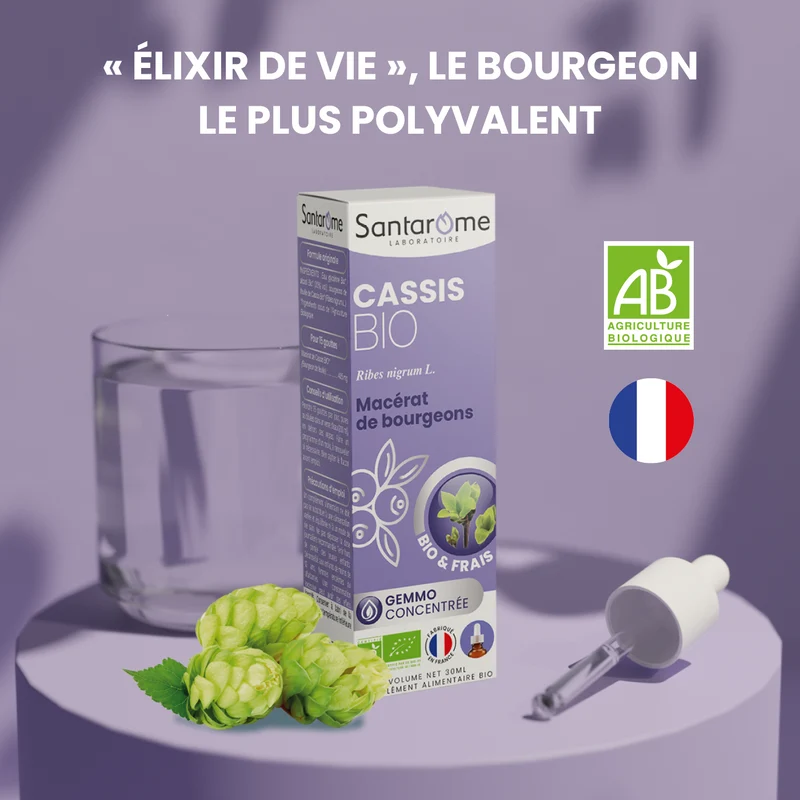 Macérat de Bourgeons - Cassis Bio