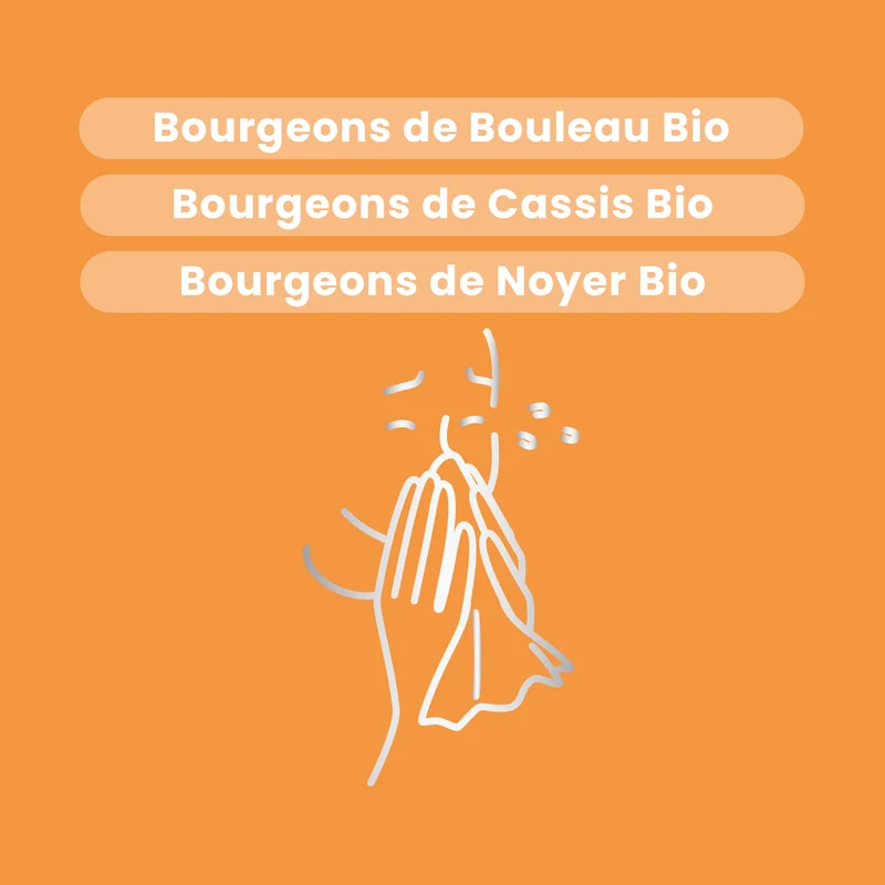 Macérat de Bourgeons - Allérus Bio