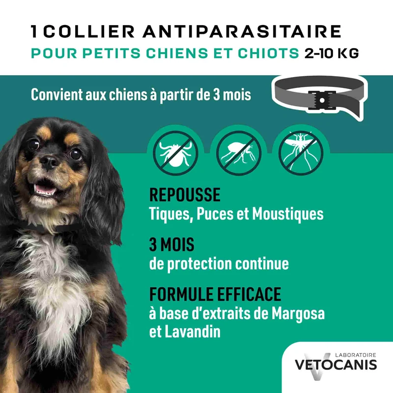 Collier Anti-Puces, Tiques et Moustiques Répulsif pour Chien