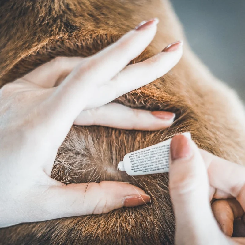 VETOCANIS 20%M Solution répulsive pour spot-on pour chiens