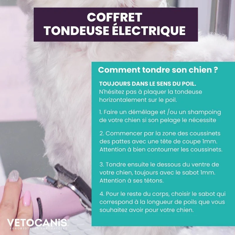 Coffret Tondeuse électrique pour Chien