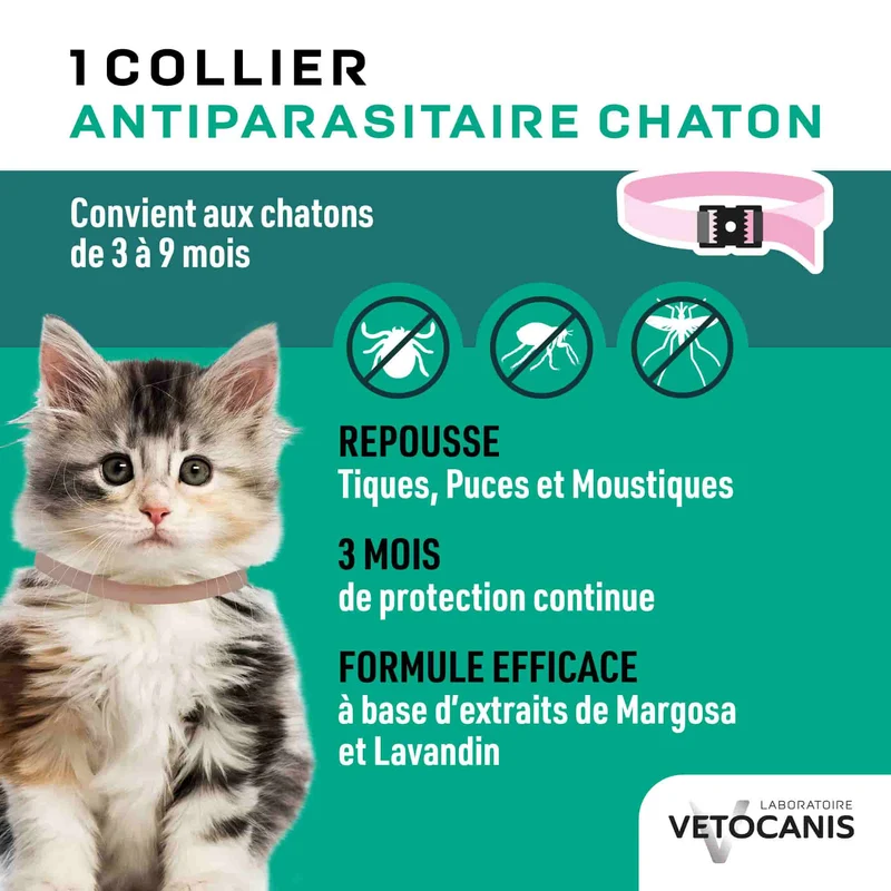 Collier Anti-Puces Anti-Tiques Répulsif pour Chat et Chaton
