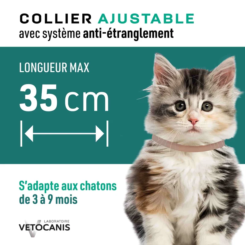 Collier Anti-Puces Anti-Tiques Répulsif pour Chat et Chaton