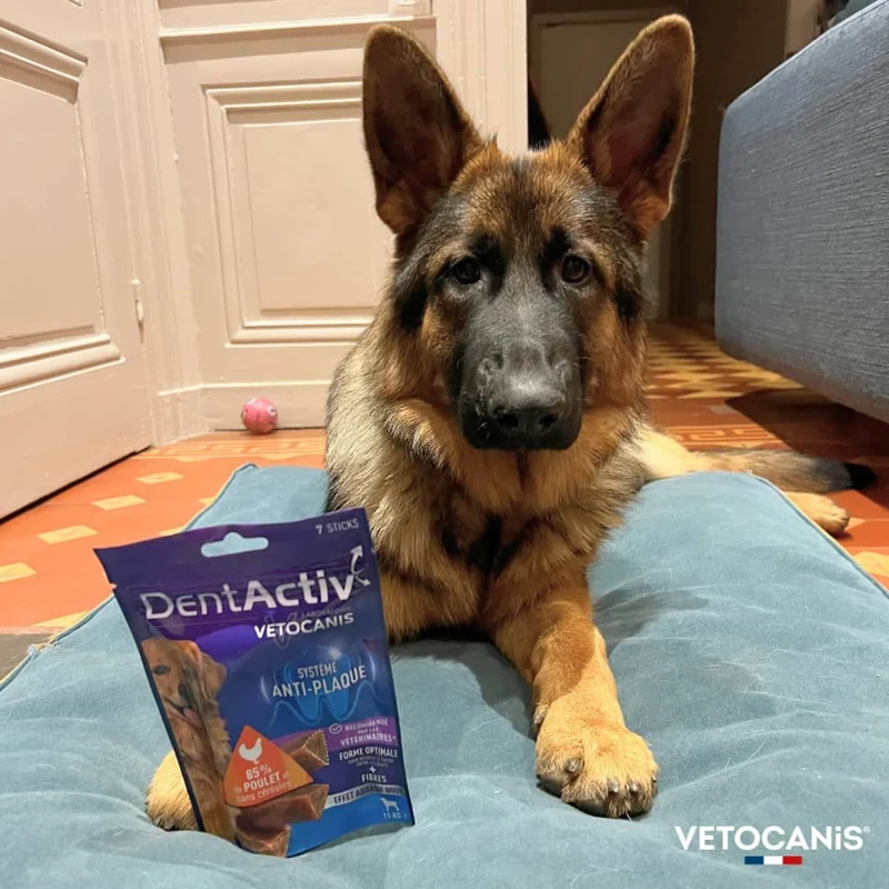 DentActiv Bâtonnets Hygiène Bucco-Dentaire pour Chien 15kg +