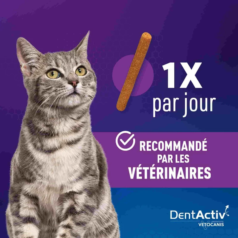 Bâtonnets Hygiène Bucco-Dentaire pour Chat, DentActiv