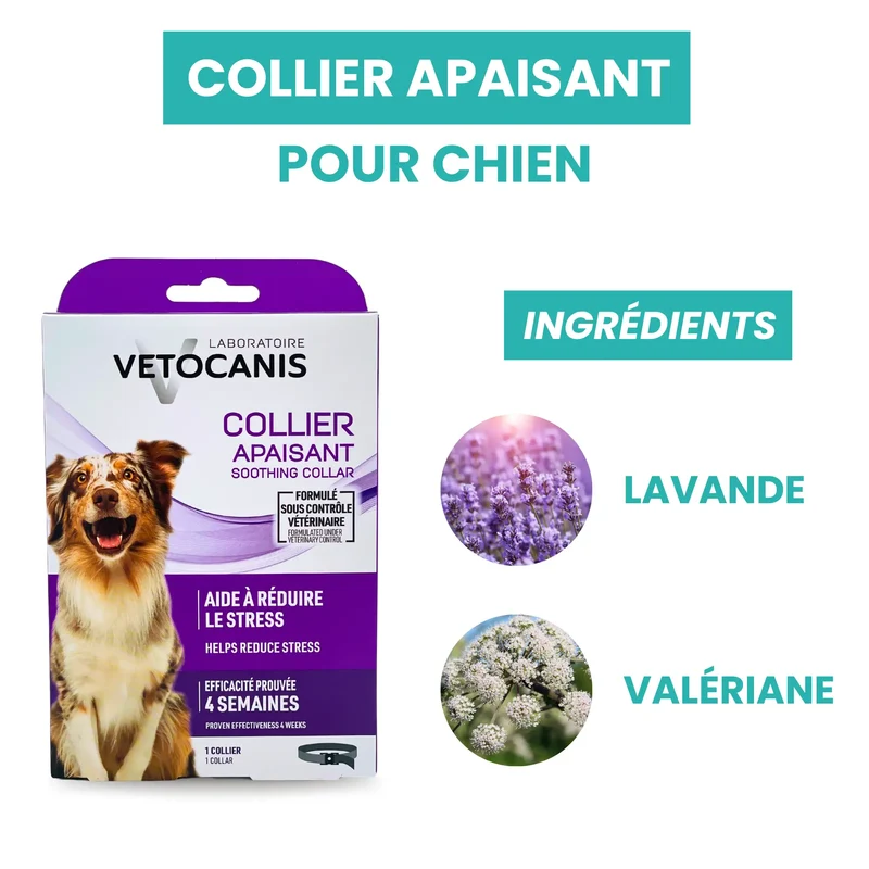 Collier Apaisant pour Chien 60cm