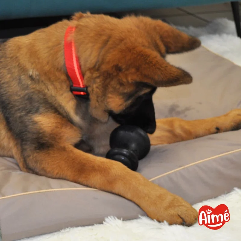 Jouet Pepper Très Résistant pour Chien 8,5cm - 100% Caoutchouc Végétal